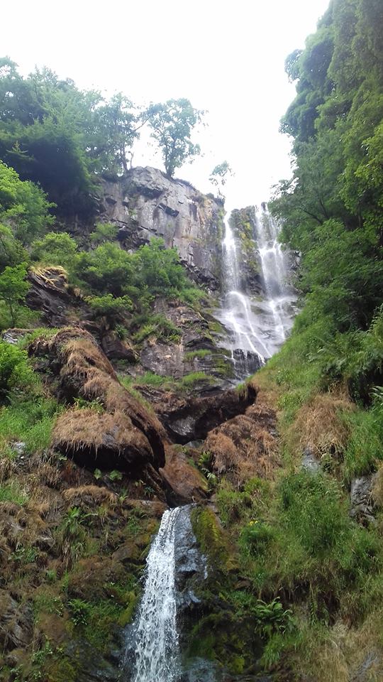 Falling Water